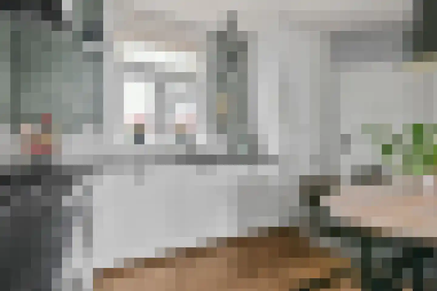 Aalsmeerderdijk 482 Rijsenhout thumbnail 10