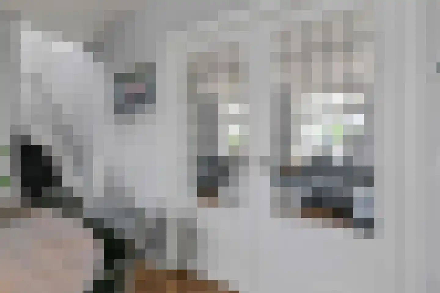Aalsmeerderdijk 482 Rijsenhout thumbnail 18