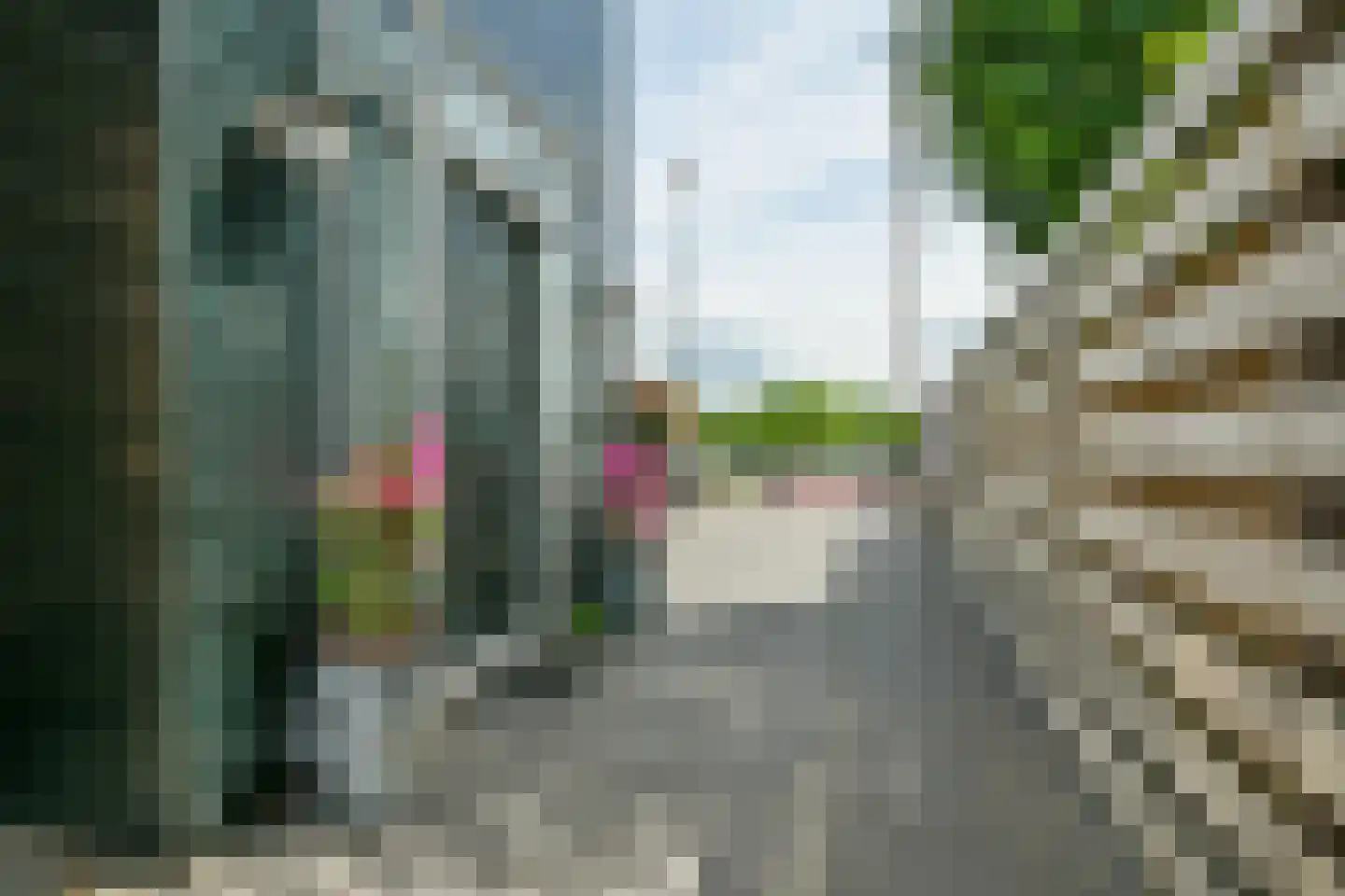 Aalsmeerderdijk 482 Rijsenhout thumbnail 7