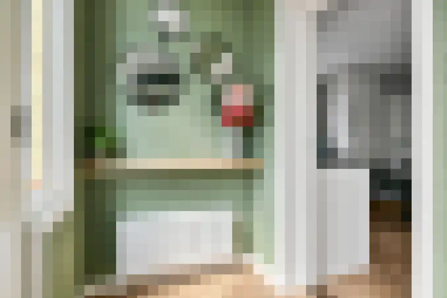 Aalsmeerderdijk 482 Rijsenhout thumbnail 8