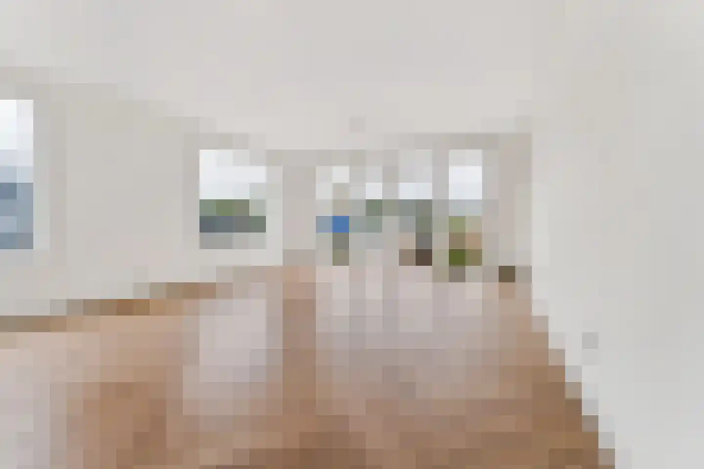 Aalsmeerderdijk 489 Rijsenhout thumbnail 11
