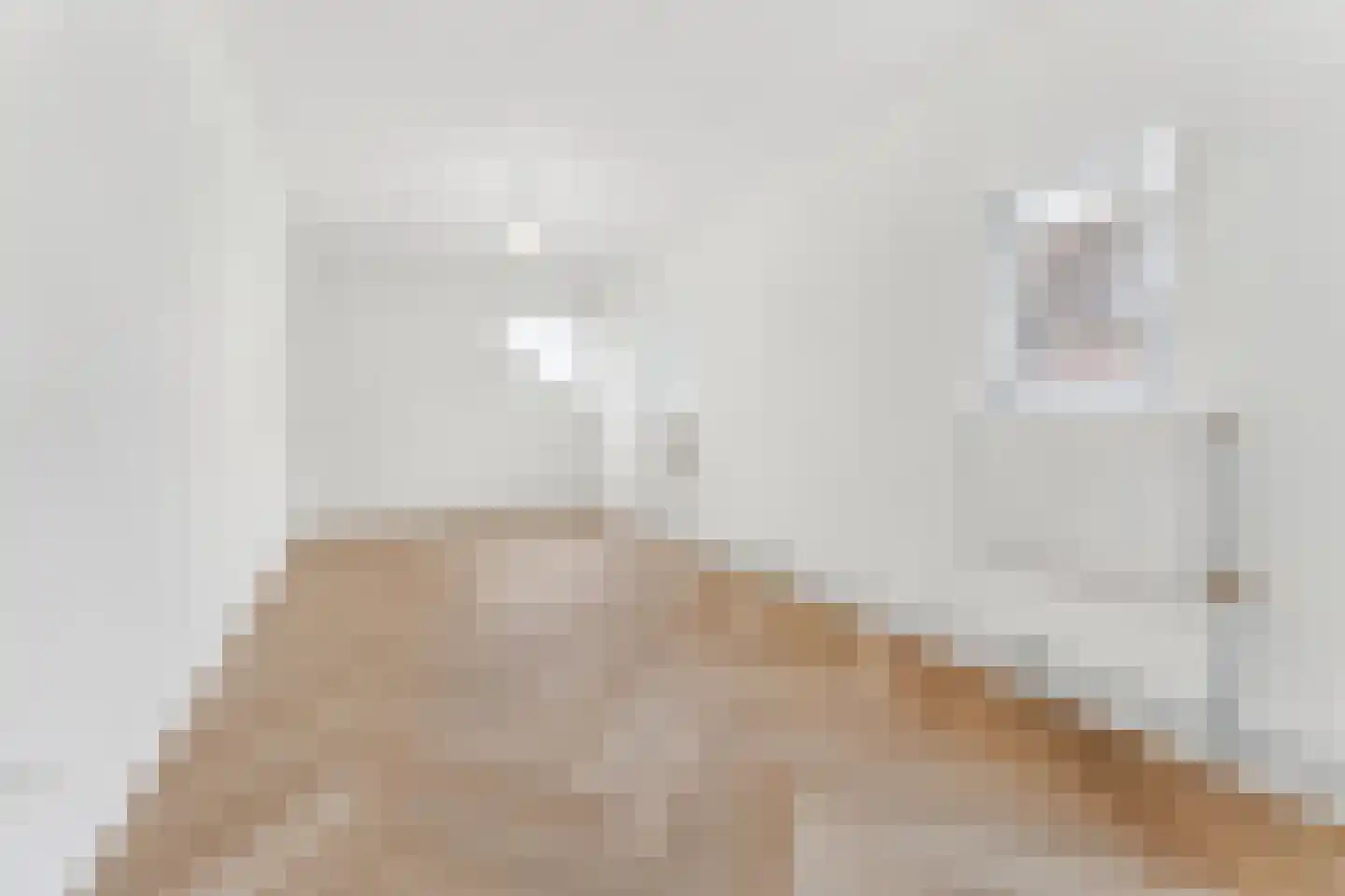 Aalsmeerderdijk 489 Rijsenhout thumbnail 42