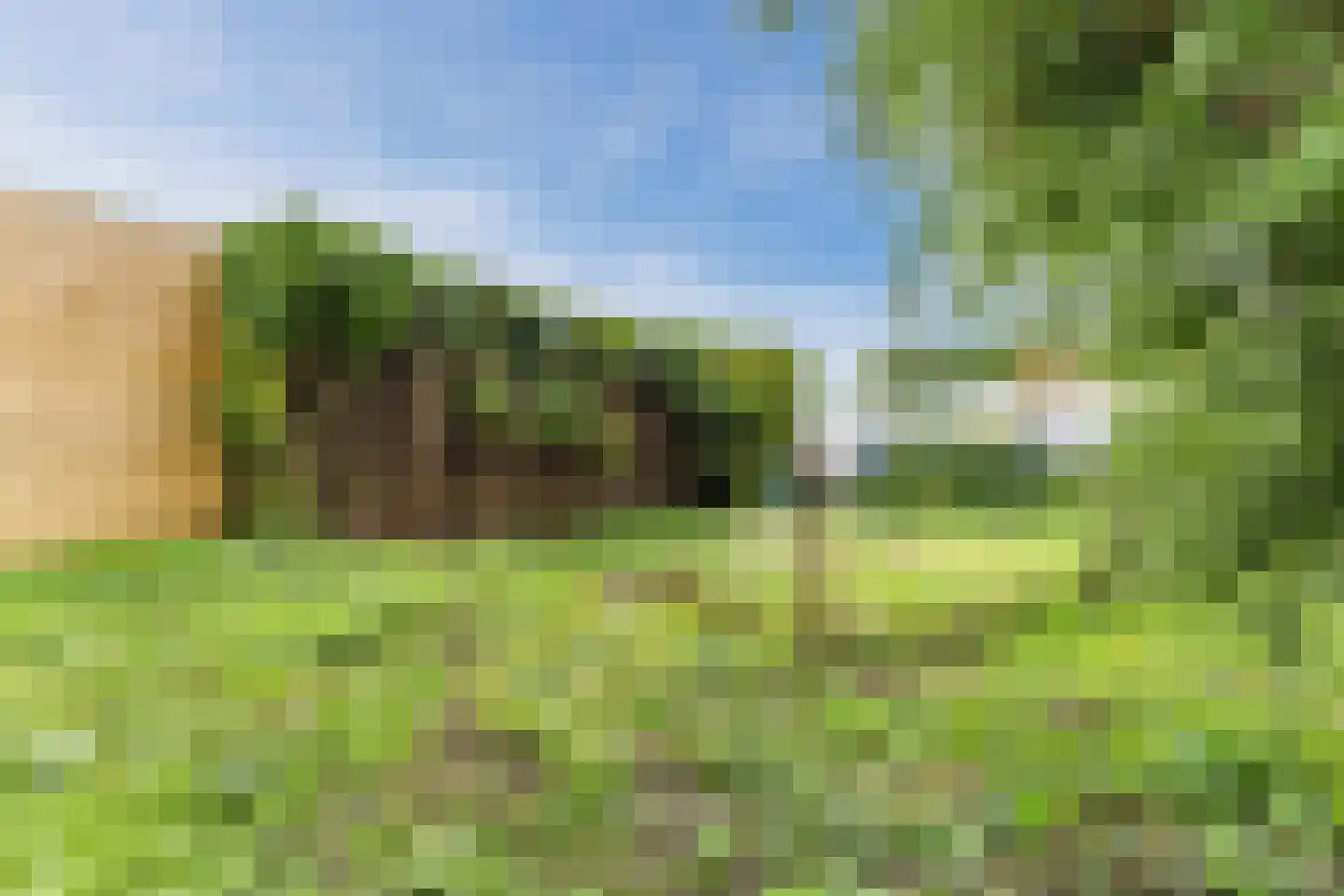 Aalsmeerderdijk 489 Rijsenhout thumbnail 66