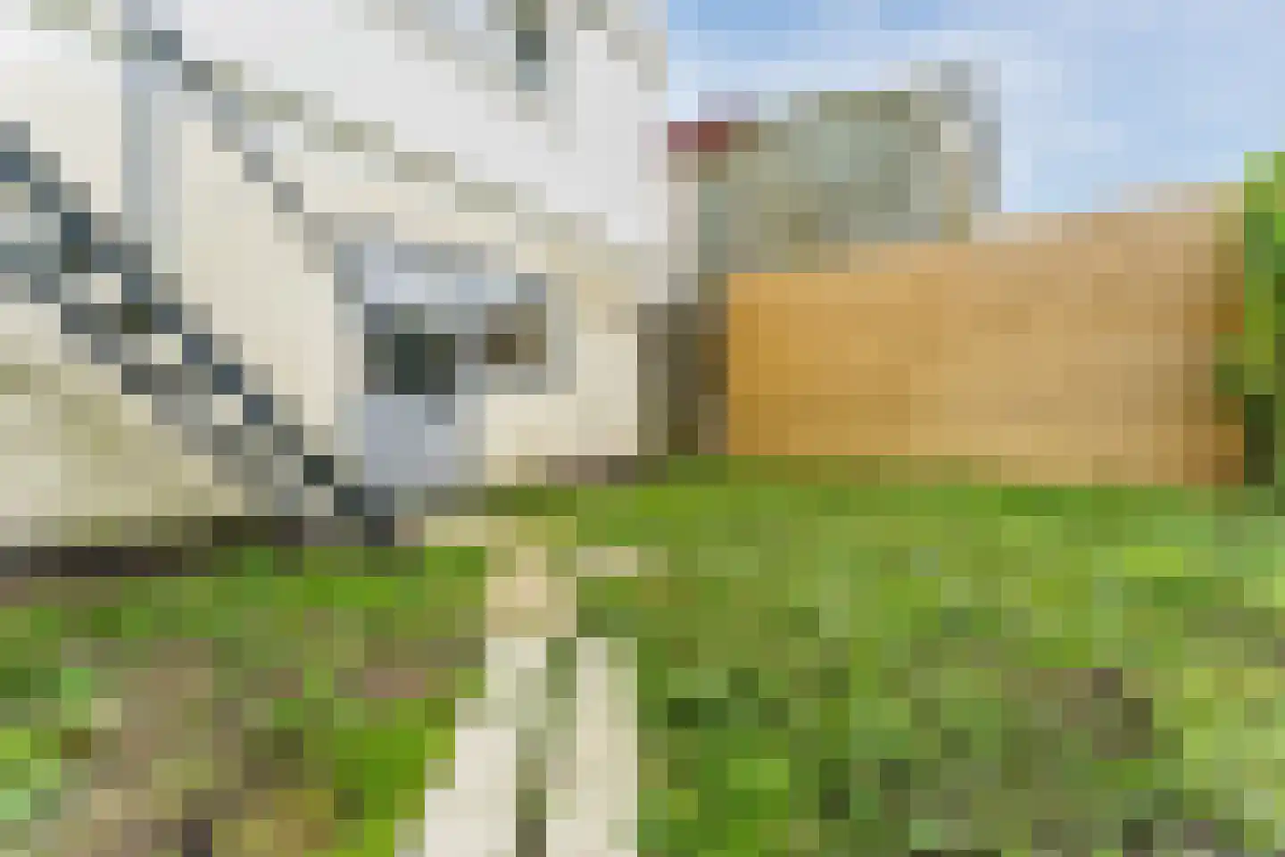 Aalsmeerderdijk 489 Rijsenhout thumbnail 67