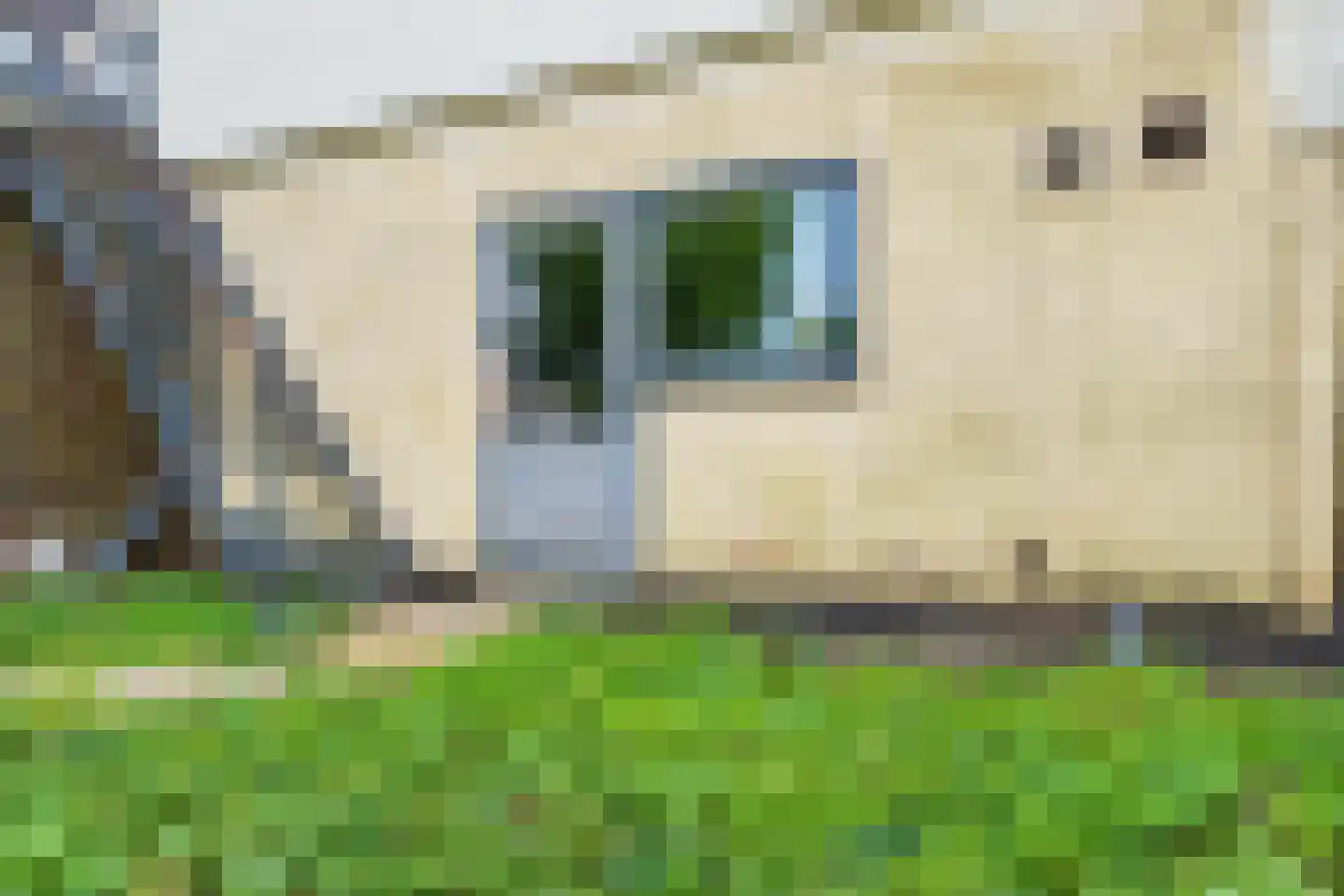 Aalsmeerderdijk 489 Rijsenhout thumbnail 68