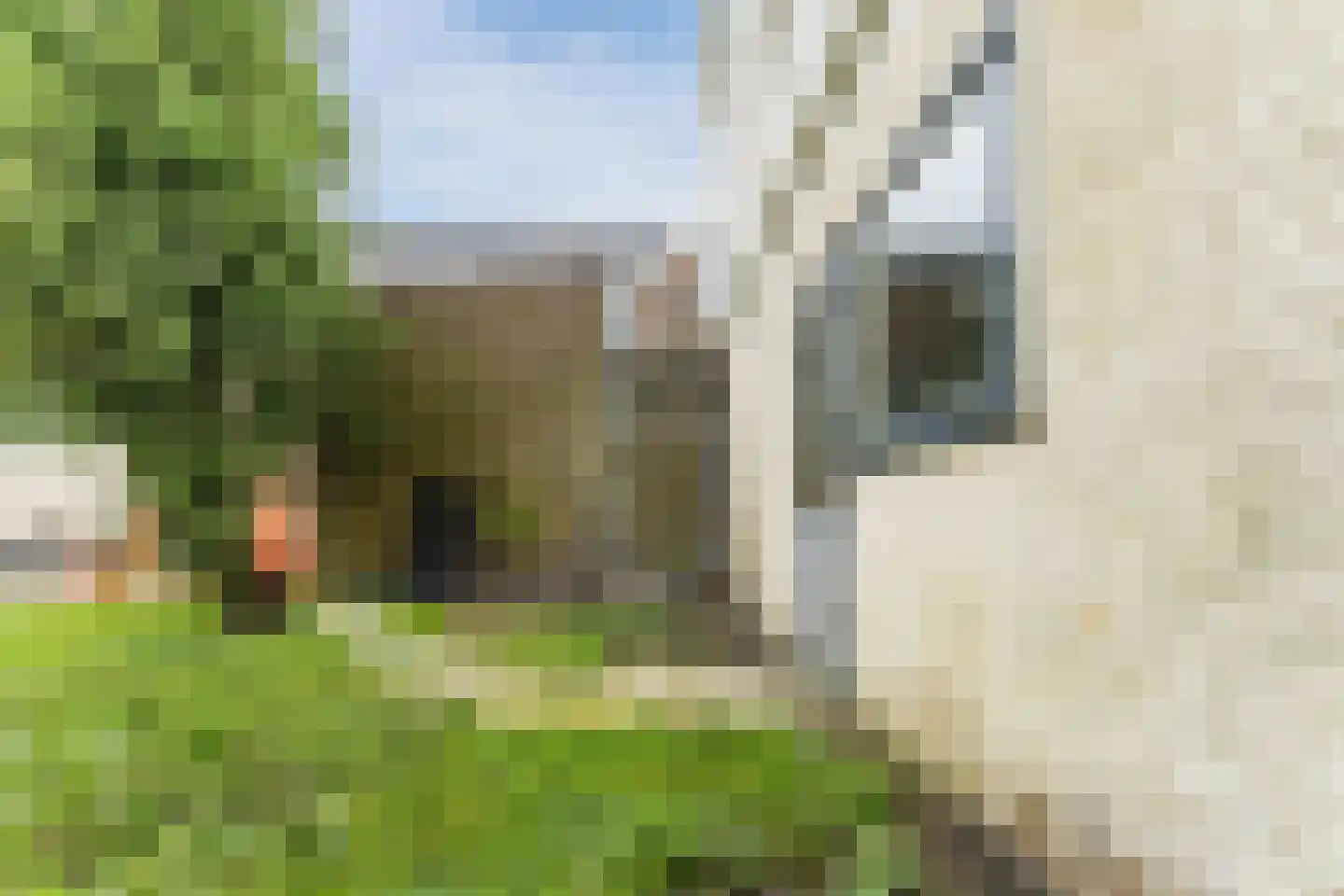 Aalsmeerderdijk 489 Rijsenhout thumbnail 69