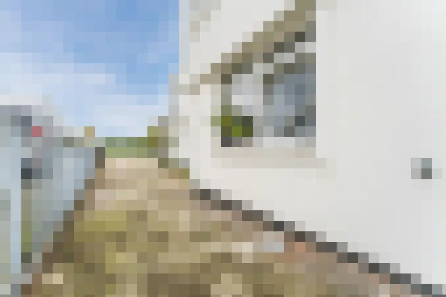Aalsmeerderdijk 489 Rijsenhout thumbnail 70