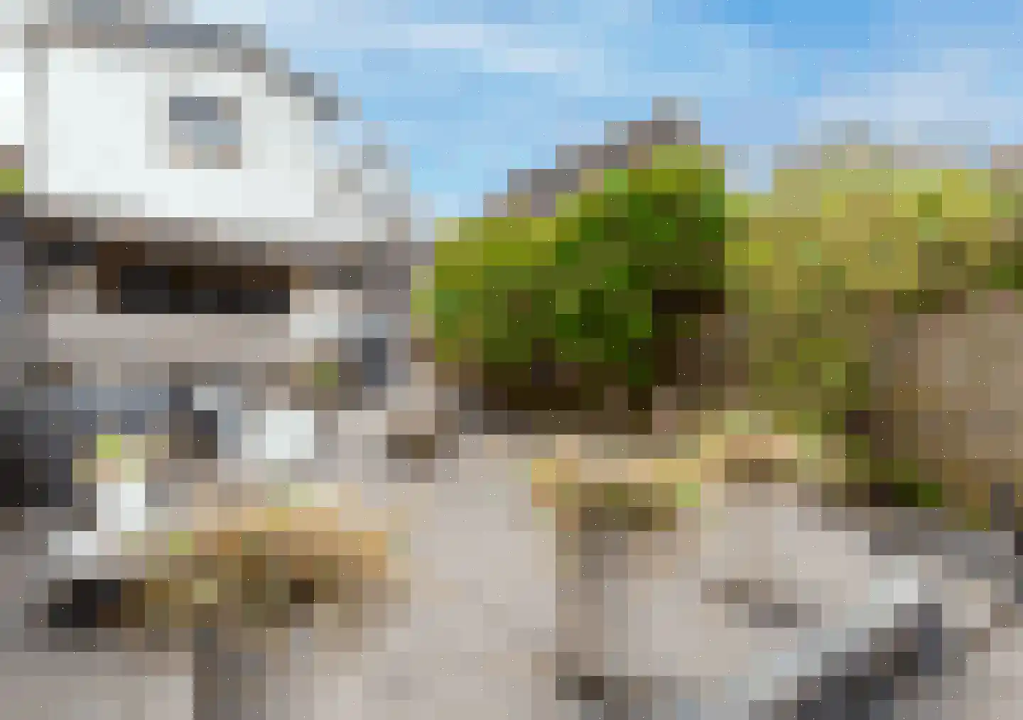 Aalsmeerderdijk 504 Rijsenhout thumbnail 23
