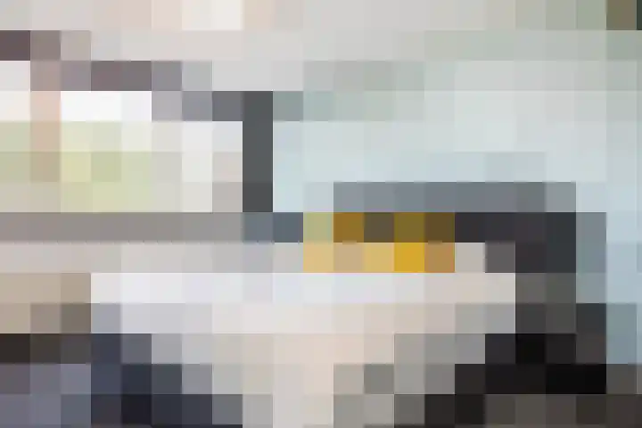 Aalsmeerderdijk 572 Rijsenhout thumbnail 24