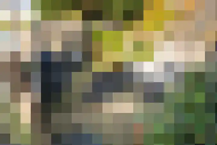 Aalsmeerderdijk 572 Rijsenhout thumbnail 32