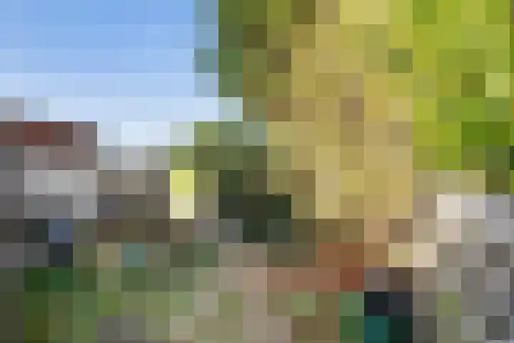 Aalsmeerderdijk 572 Rijsenhout thumbnail 34