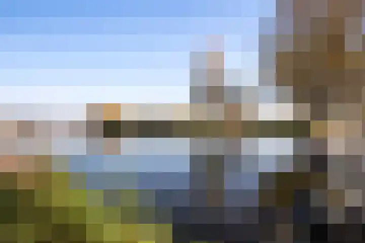 Aalsmeerderdijk 572 Rijsenhout thumbnail 4