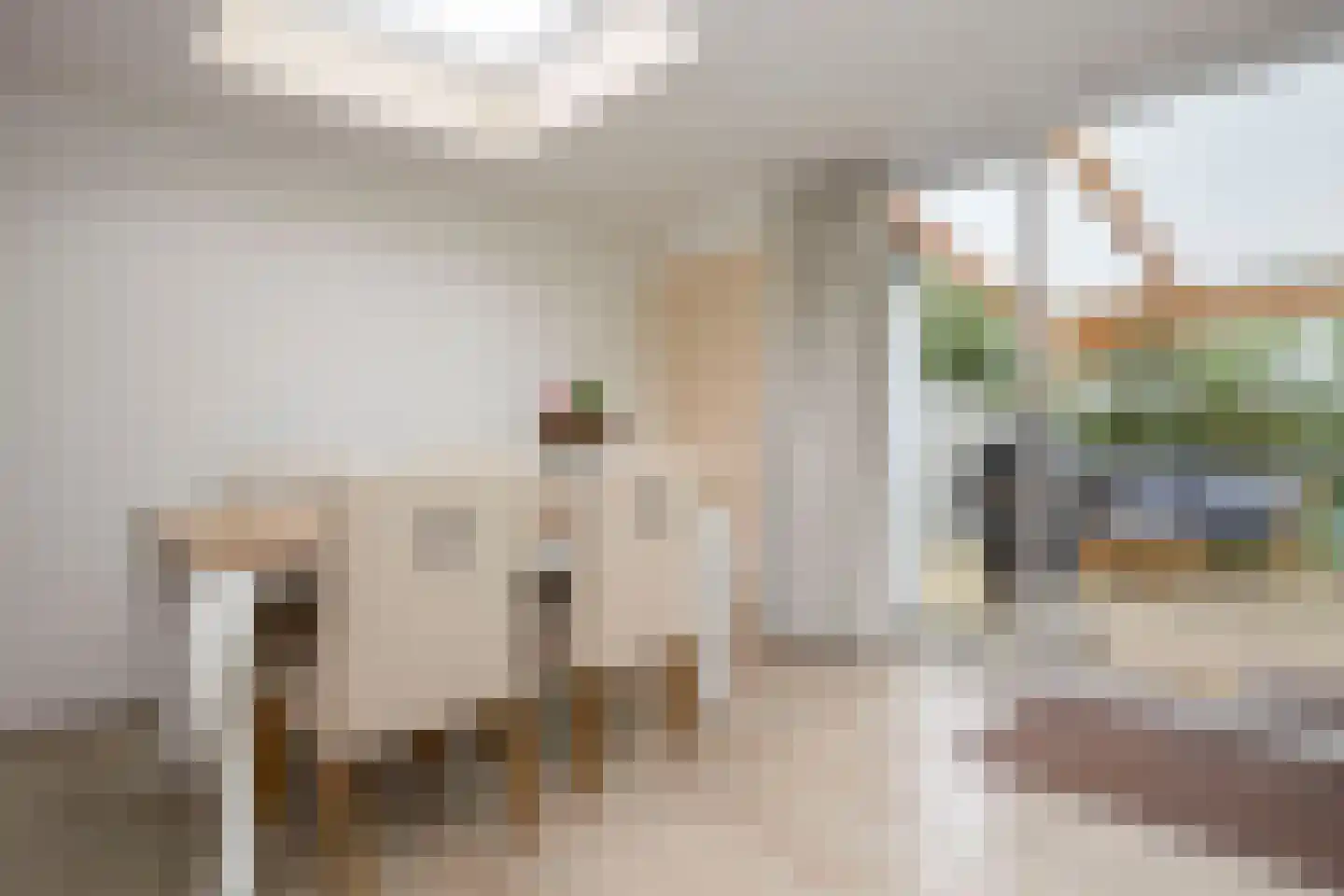 Aalsmeerderdijk 668 Rijsenhout thumbnail 25