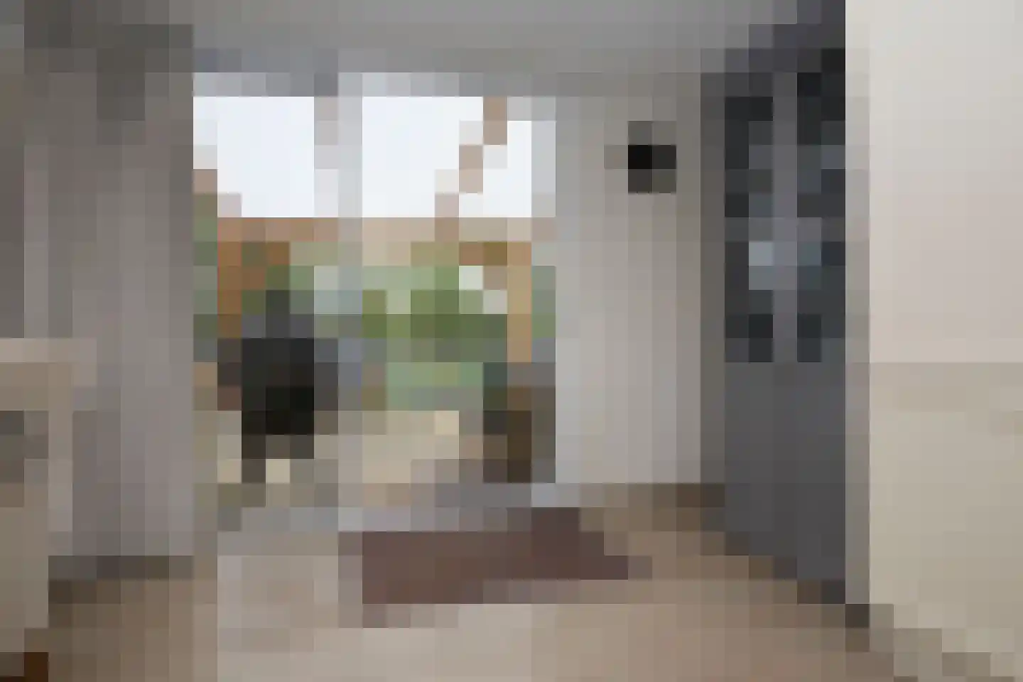 Aalsmeerderdijk 668 Rijsenhout thumbnail 30