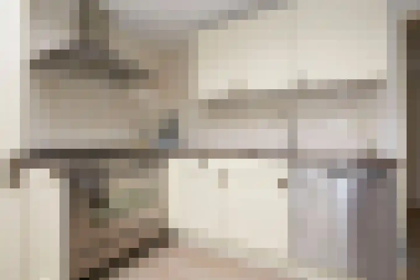 Aalsmeerderdijk 668 Rijsenhout thumbnail 4