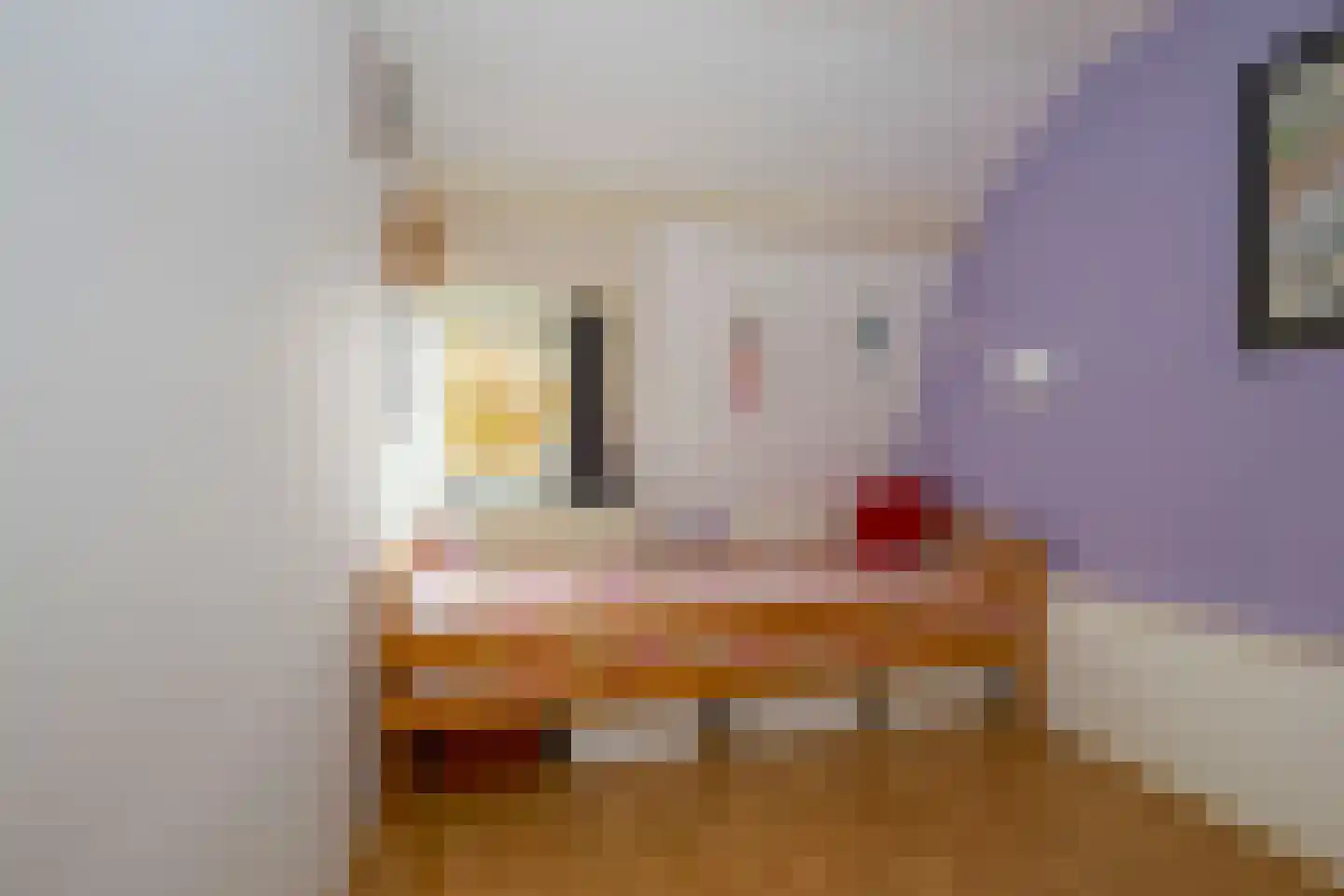Aalsmeerderdijk 668 Rijsenhout thumbnail 43