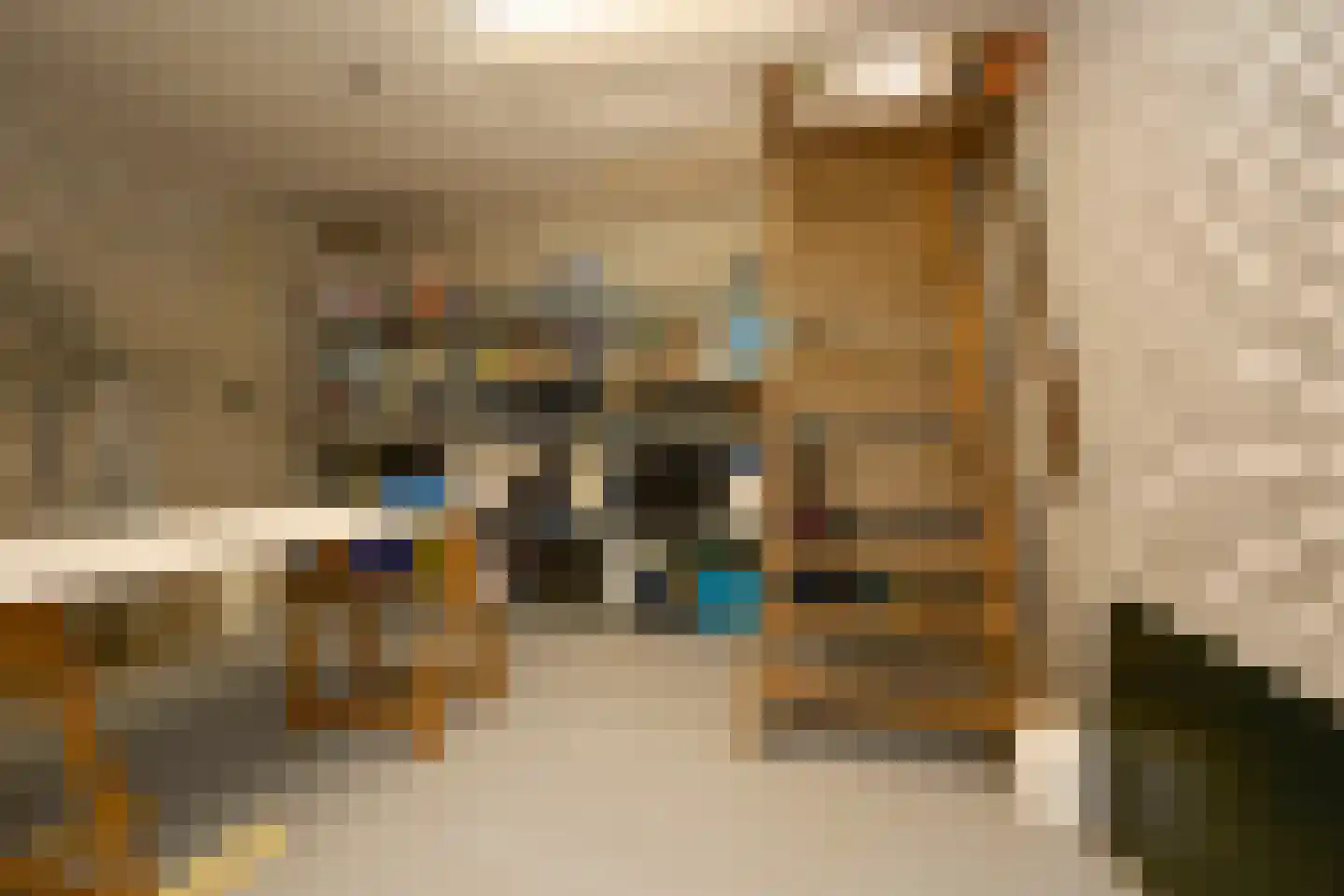 Aalsmeerderdijk 668 Rijsenhout thumbnail 48