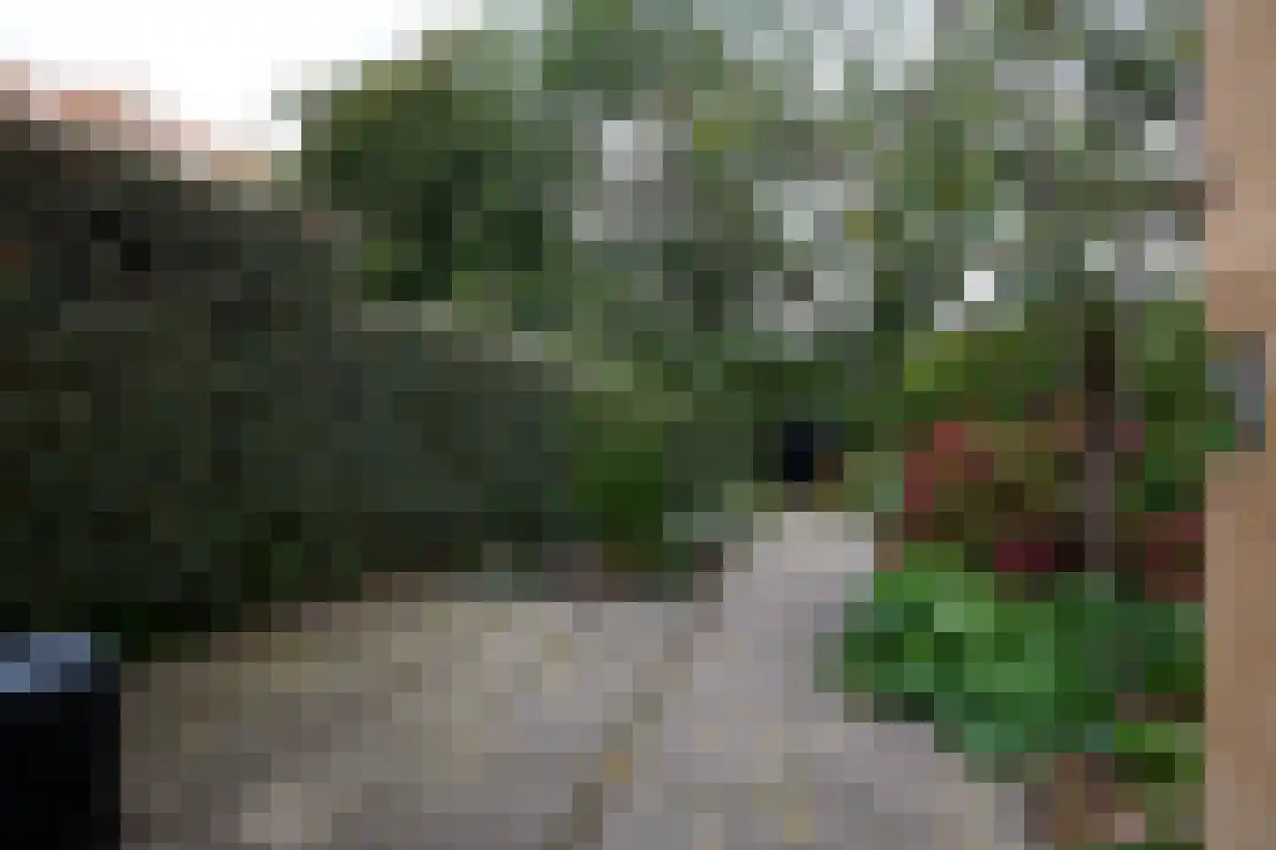 Aalsmeerderdijk 668 Rijsenhout thumbnail 57
