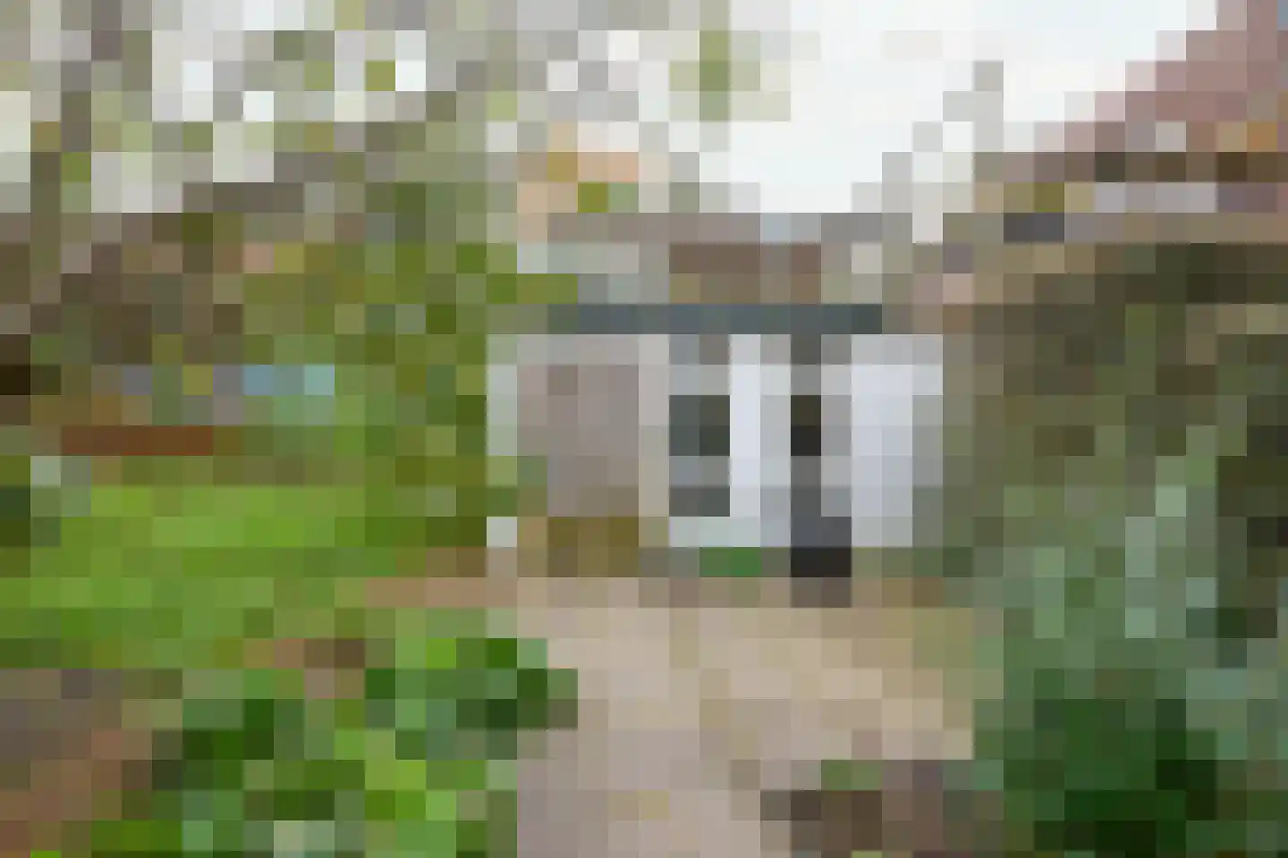 Aalsmeerderdijk 668 Rijsenhout thumbnail 58