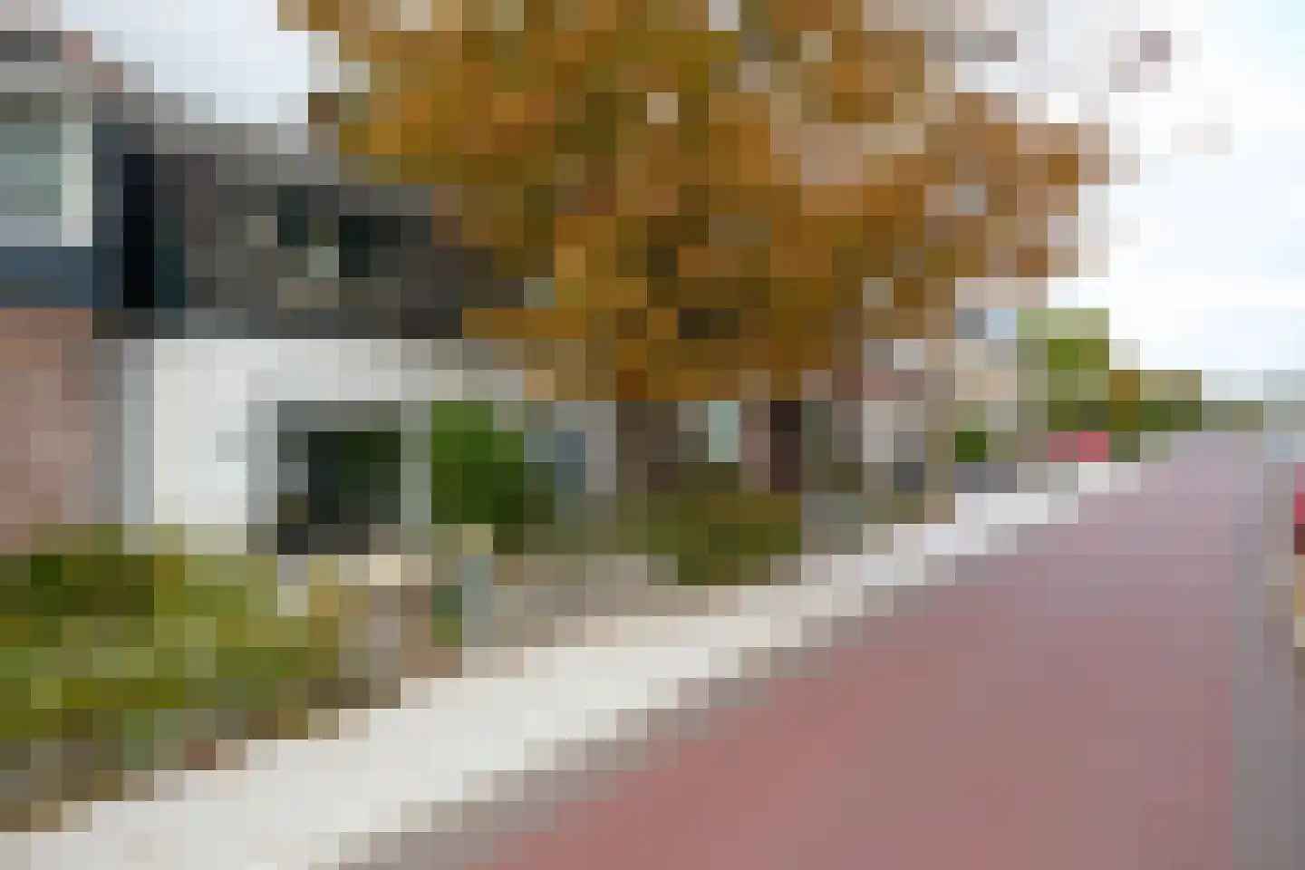 Aalsmeerderdijk 668 Rijsenhout thumbnail 6