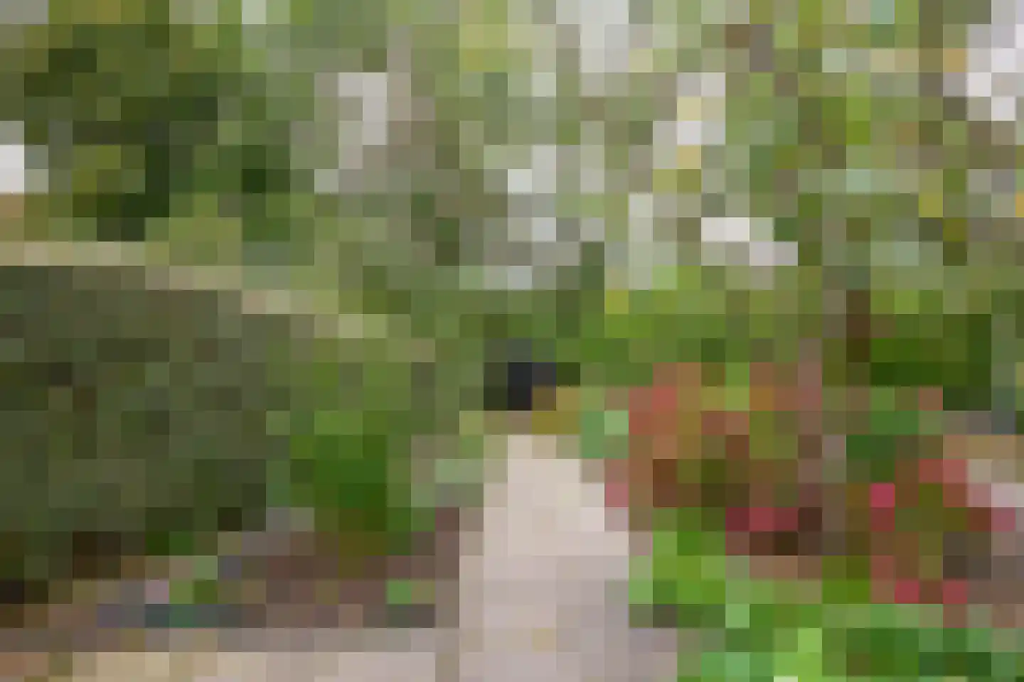 Aalsmeerderdijk 668 Rijsenhout thumbnail 60