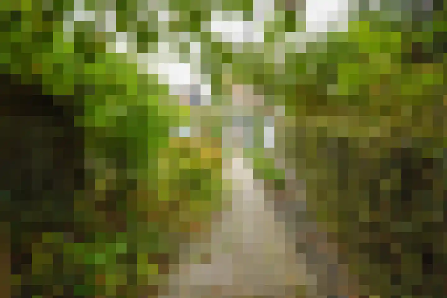 Aalsmeerderdijk 668 Rijsenhout thumbnail 63