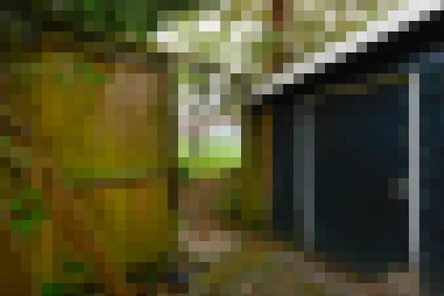 Aalsmeerderdijk 668 Rijsenhout thumbnail 64