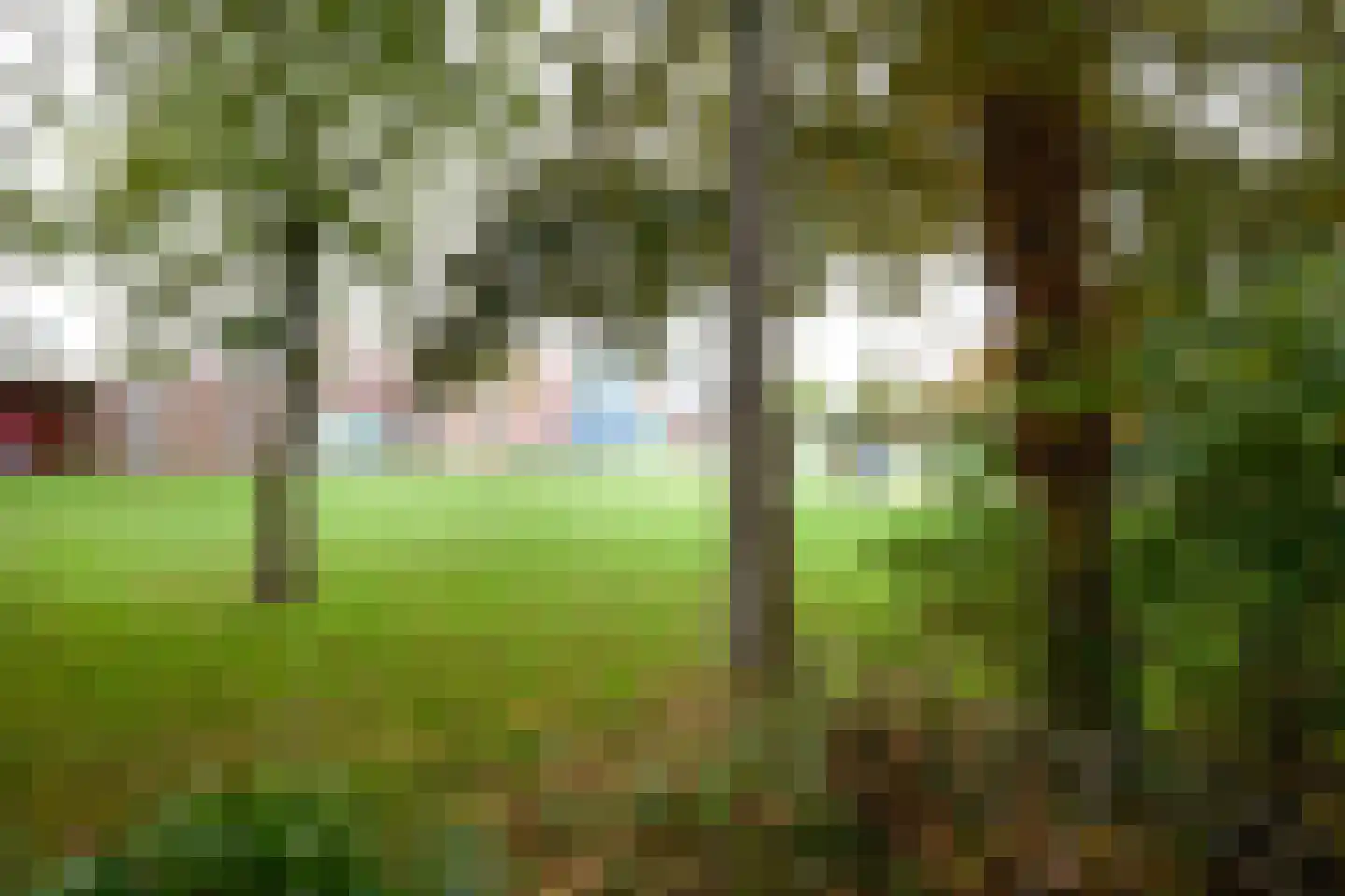 Aalsmeerderdijk 668 Rijsenhout thumbnail 65