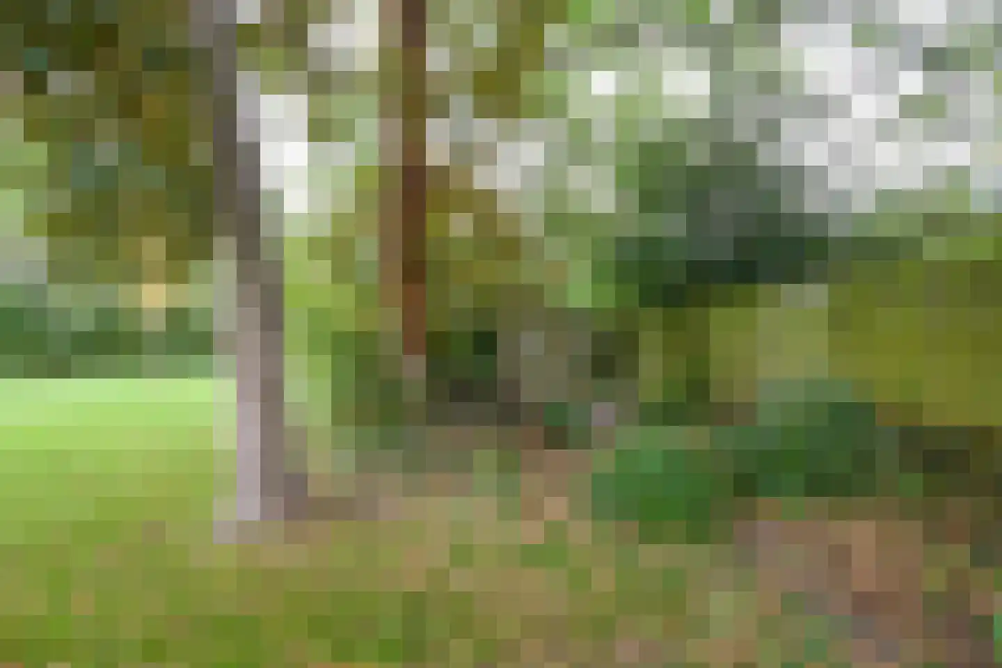 Aalsmeerderdijk 668 Rijsenhout thumbnail 66