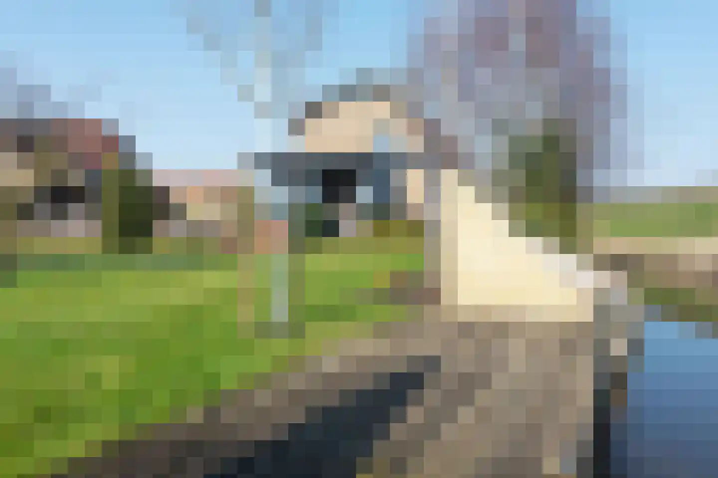Aalsmeerderweg 134 Aalsmeer thumbnail 7