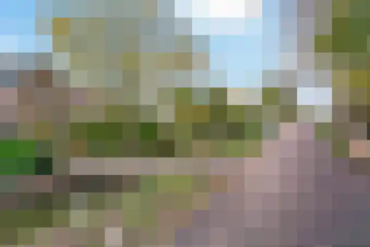 Aalsmeerderweg 16 Aalsmeer thumbnail 36