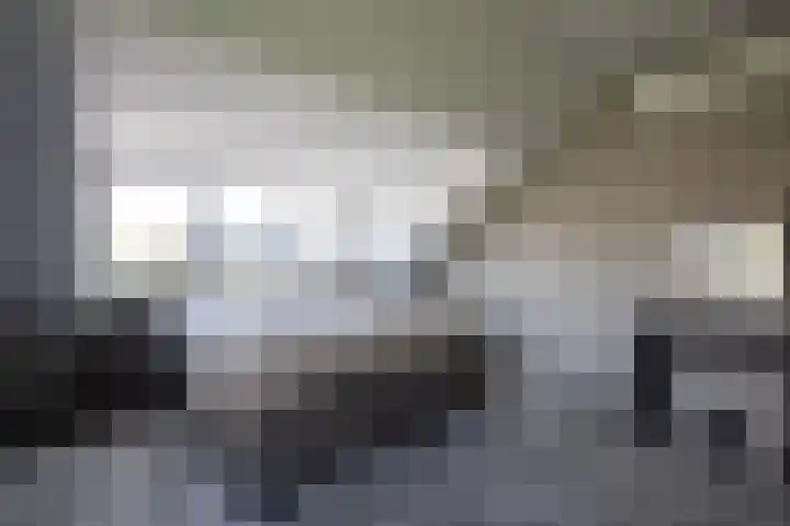Aalsmeerderweg 204 Aalsmeer thumbnail 17