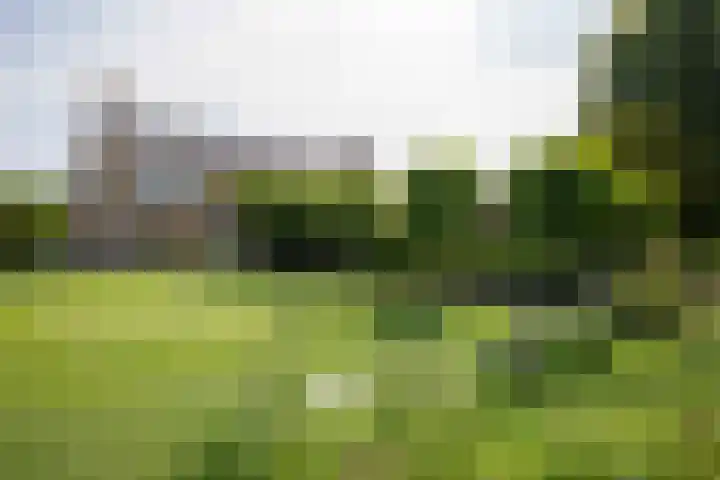 Aalsmeerderweg 204 Aalsmeer thumbnail 20