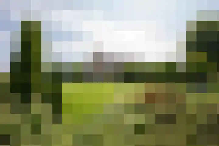Aalsmeerderweg 204 Aalsmeer thumbnail 40