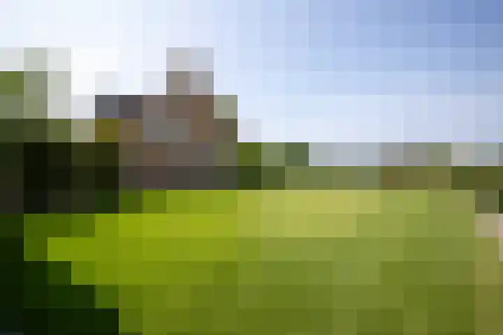 Aalsmeerderweg 204 Aalsmeer thumbnail 41