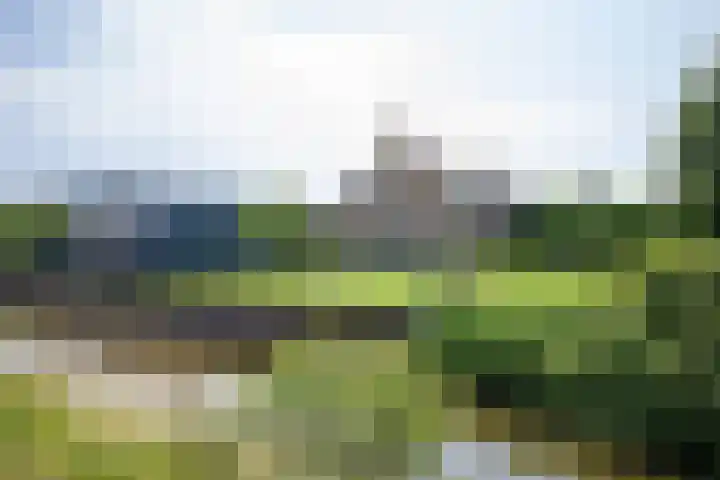 Aalsmeerderweg 204 Aalsmeer thumbnail 42