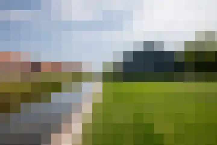 Aalsmeerderweg 204 Aalsmeer thumbnail 44