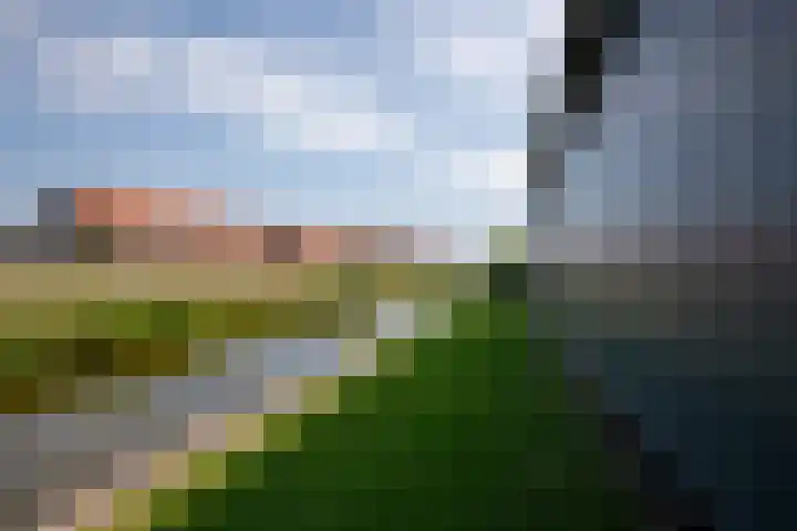 Aalsmeerderweg 204 Aalsmeer thumbnail 45
