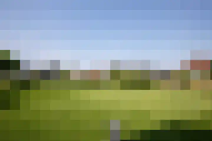 Aalsmeerderweg 204 Aalsmeer thumbnail 46