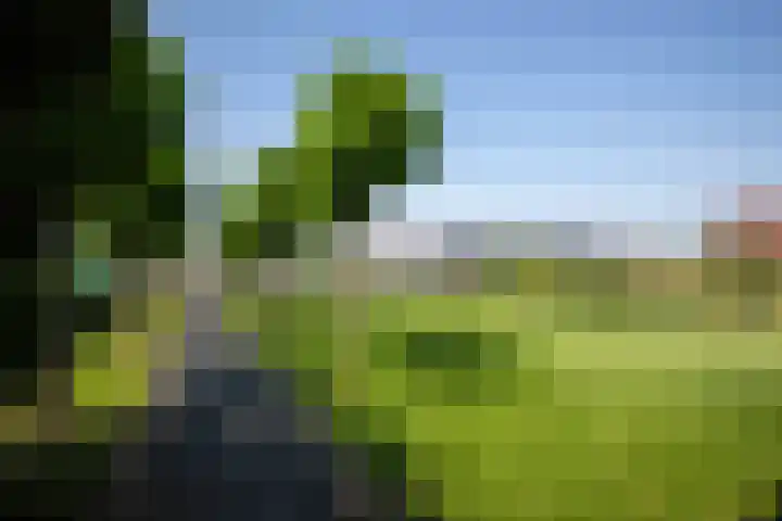 Aalsmeerderweg 204 Aalsmeer thumbnail 47