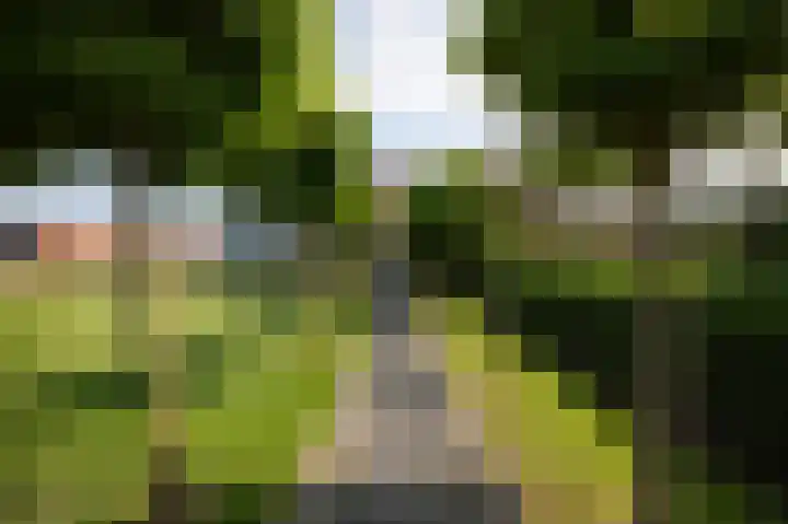 Aalsmeerderweg 204 Aalsmeer thumbnail 48