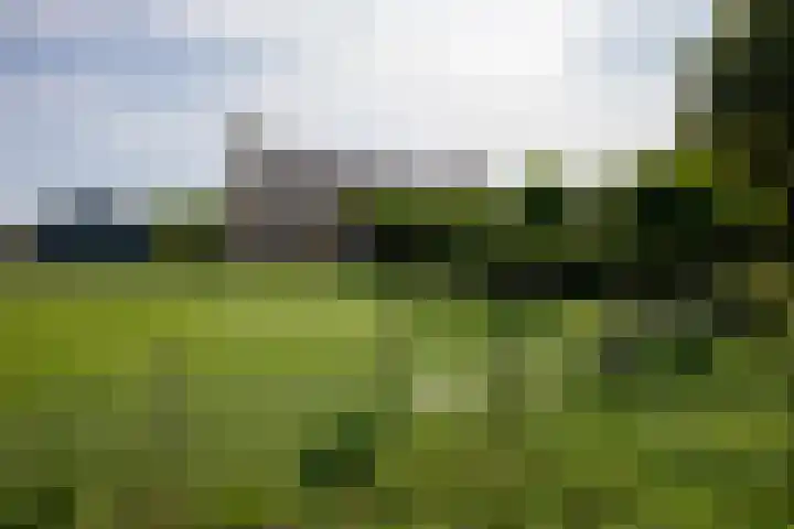 Aalsmeerderweg 204 Aalsmeer thumbnail 55