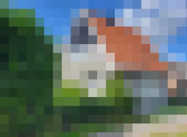 Aalsmeerderweg 211 Aalsmeer thumbnail 24