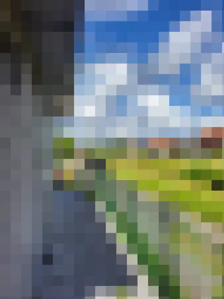 Aalsmeerderweg 211 Aalsmeer thumbnail 25