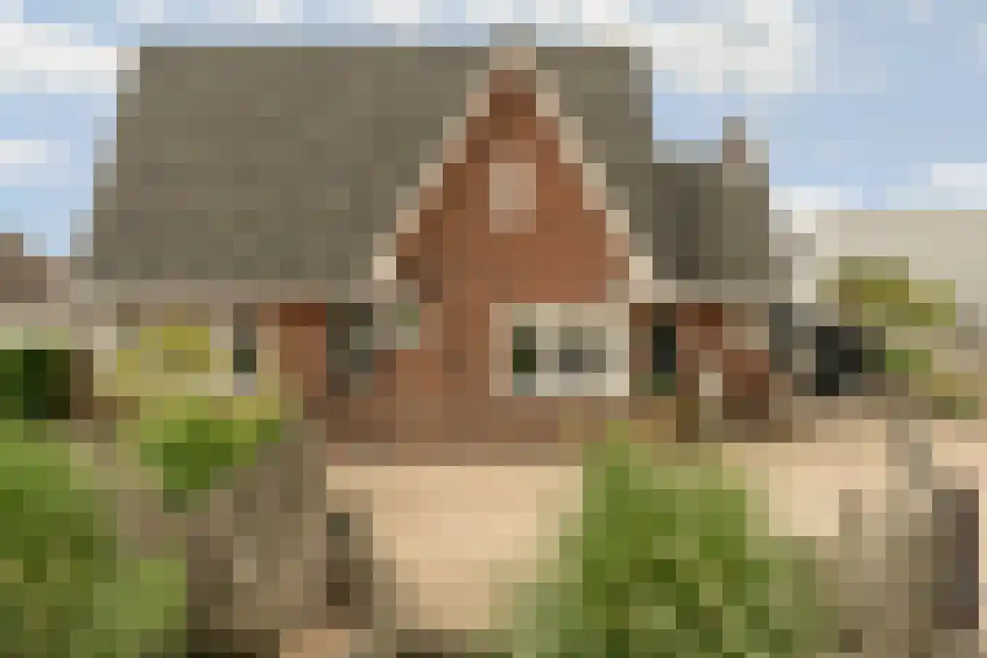 Aalsmeerderweg 287 Aalsmeer thumbnail 49