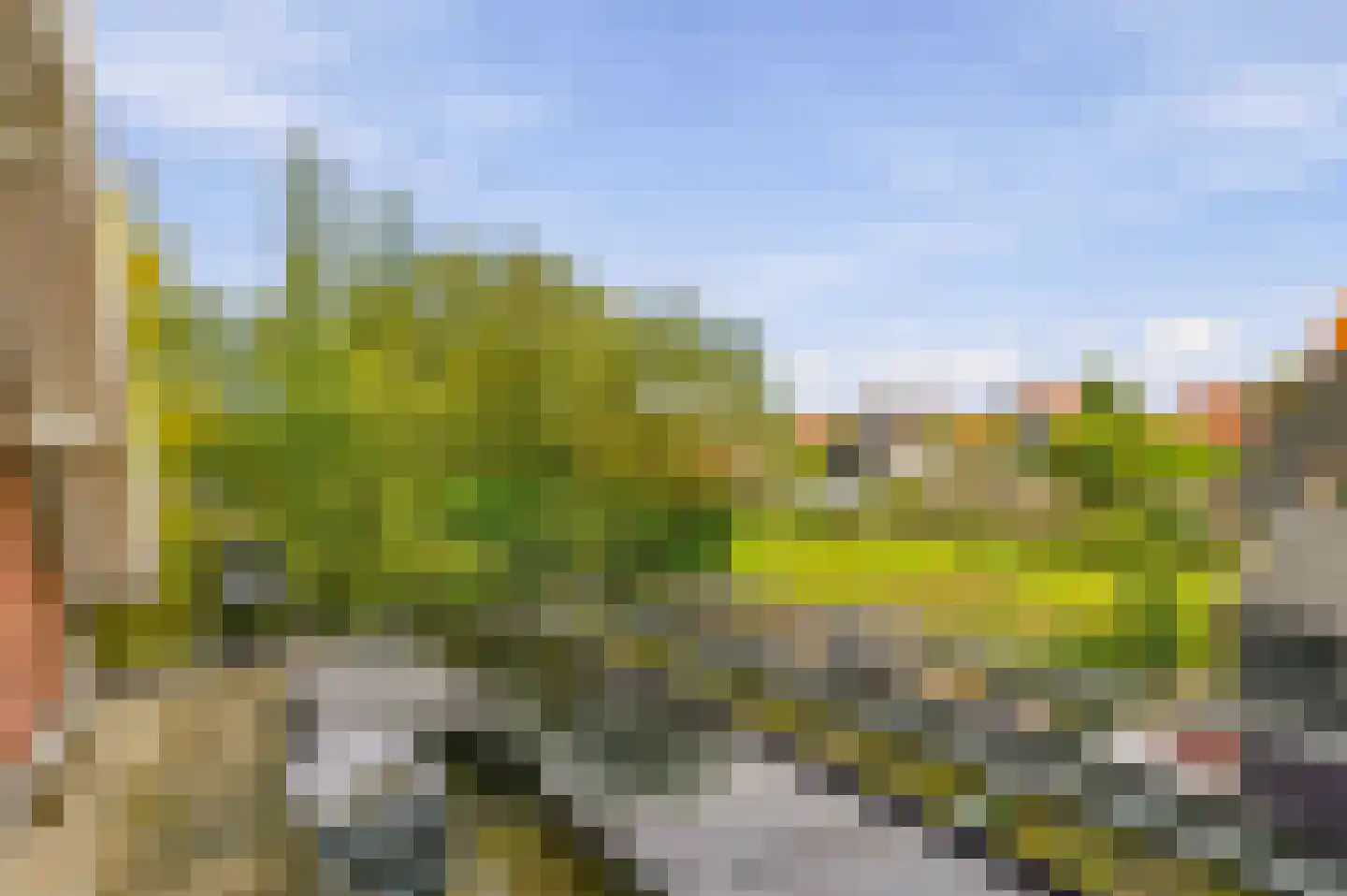 Aalsmeerderweg 296 Aalsmeer thumbnail 29