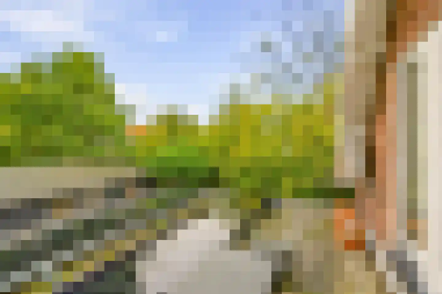 Aalsmeerderweg 296 Aalsmeer thumbnail 30