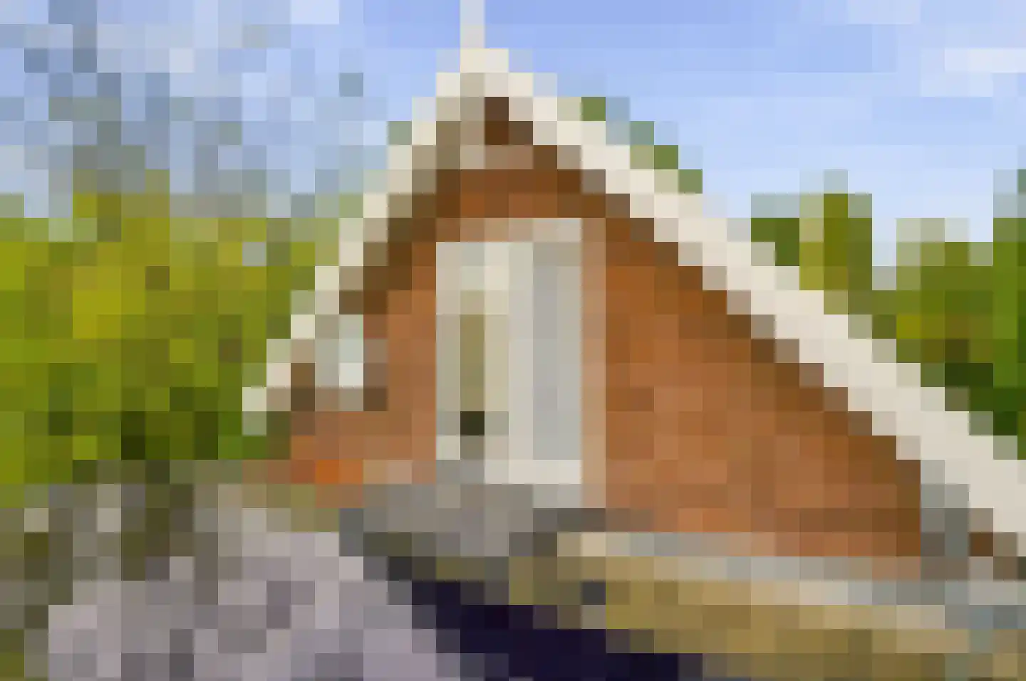 Aalsmeerderweg 296 Aalsmeer thumbnail 31