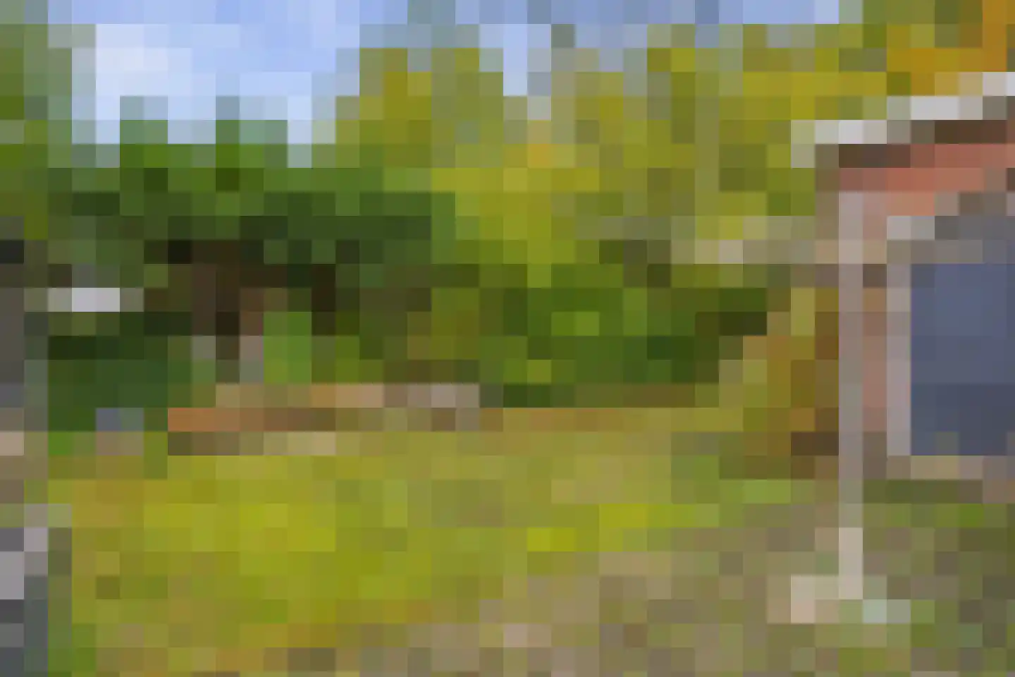 Aalsmeerderweg 296 Aalsmeer thumbnail 33