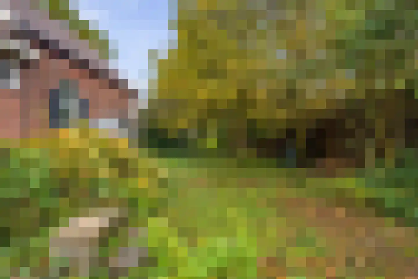Aalsmeerderweg 296 Aalsmeer thumbnail 35